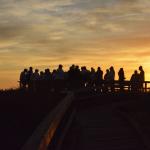 cambria_372 (November 03, 2018)